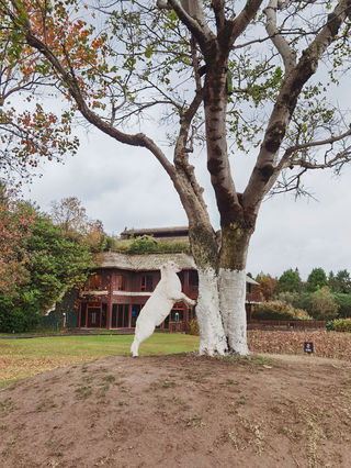 记小雪节气夫妻双双崇明游20201121-1123