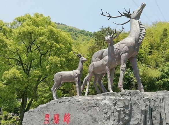 长沙黑麋峰森林公园旅行图片 1