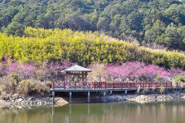 从化五指山游记