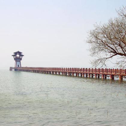 江苏无锡禅意小镇·拈花湾+灵山胜境+三国城+水浒城+无锡市太湖鼋头渚风景区3日2晚跟团游