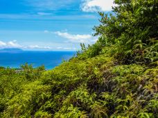 马埃岛-卡斯喀得