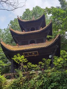 潼南大佛寺-重庆-路上50