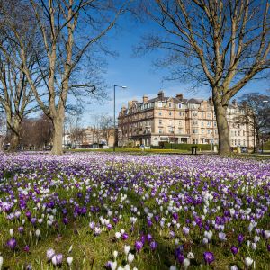 Harrogate