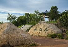 石岩湿地公园景点图片