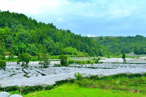 贵阳东站/新添寨/乌当地区游记图文-乡游黔中·乌当区 马头村 │ 泡温泉，归隐田园，开启冬日模式！