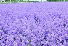 柳河溪谷景区景点图片