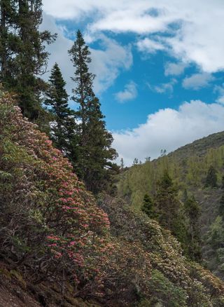 性价比超高!马尔康一站式旅游,人少景美的小众旅游地,值了!