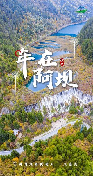 除夕|年在阿坝,等你来!