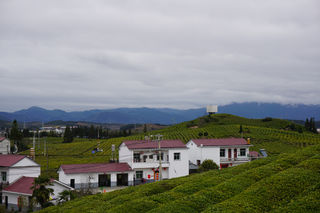 重拾故乡——“艺术在浮梁2021”寒溪村