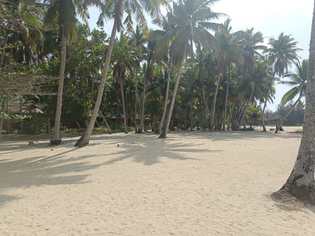 东郊椰林风景名胜区旅行图片 2