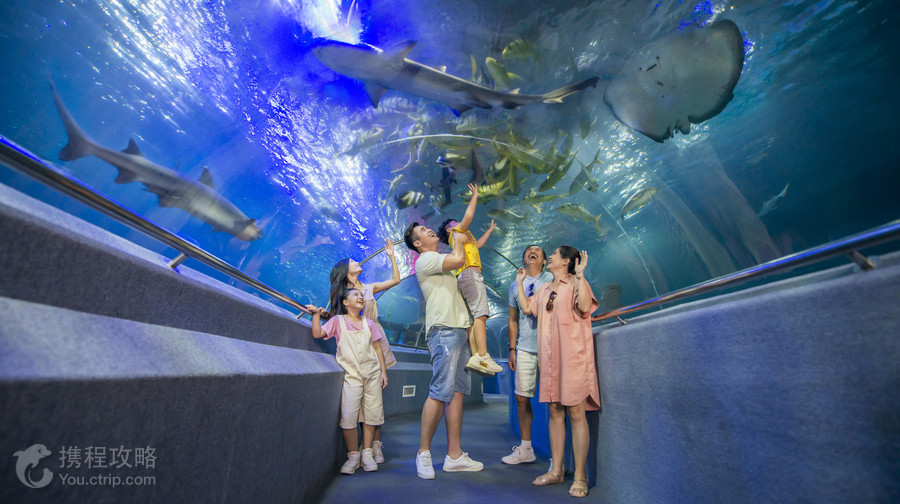 芽莊珍珠島遊樂園