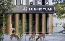 梅花鹿庄园酒店·鹿鸣苑餐厅图片