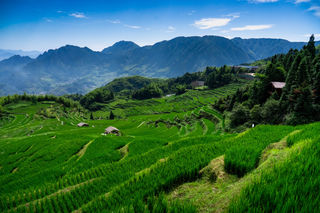 国庆假期去丽水云和梯田体验回归田园的生活吧（附2天1晚全攻略）