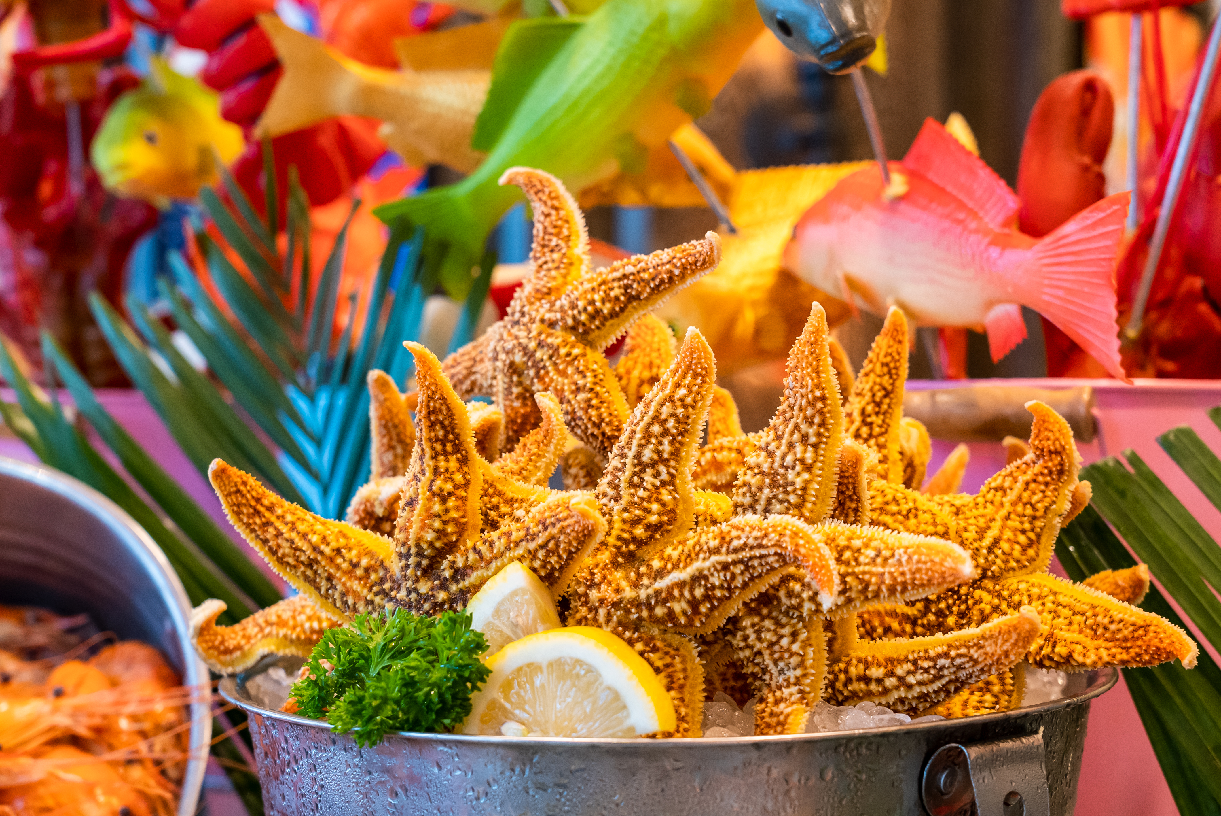 哈尔滨松北香格里拉大酒店·松咖啡