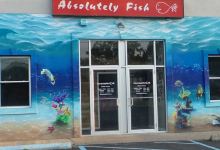 Absolutely Fish景点图片