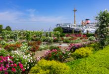 山下公园景点图片