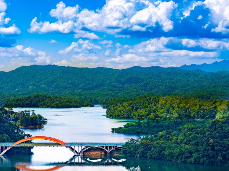 溪头旅游村