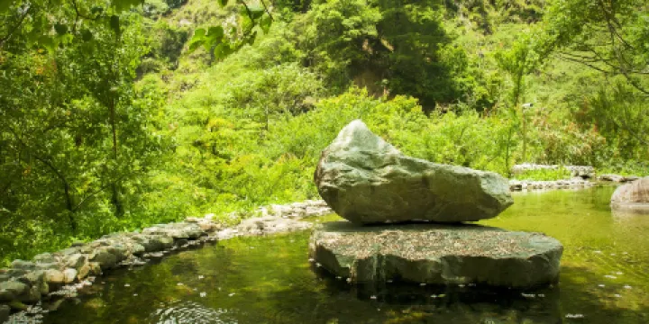 八仙山國家森林遊樂區