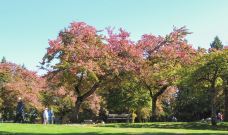 本那比山公园-本那比-hiluoling