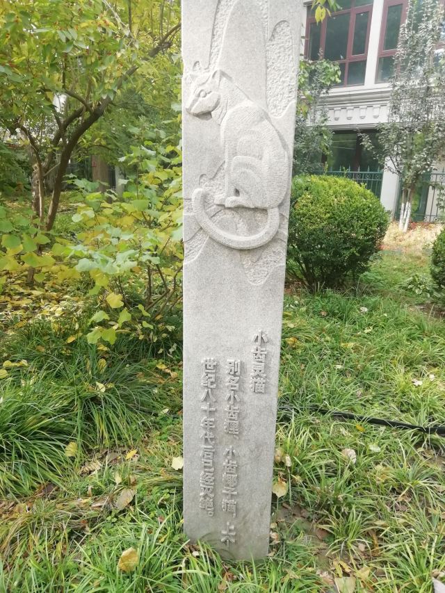 南馆公园旅行图片 4