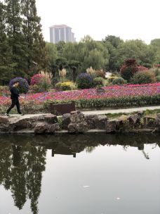 泗泾公园-上海-铁木儿爸爸