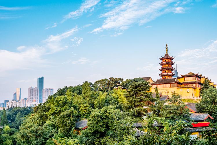 南京簡介
