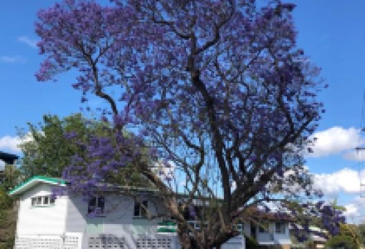 帕伊亚景点图片