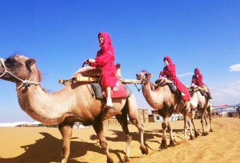 宁夏中卫腾格里沙漠+沙坡头+66号一日游【市区接送/纯玩】【[全心为您服务]纯玩服务，无购物，本地专业车队，银川市区免费上门接送。】