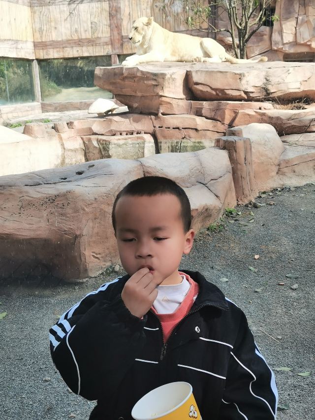 怀化野生动植物园旅行图片 1