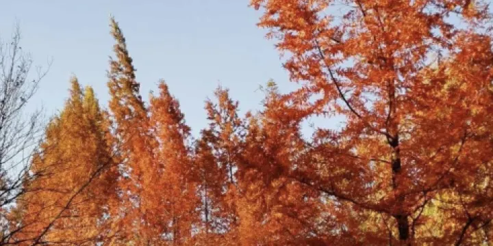 高香萬畝生態茶文化園（雲茶山莊）