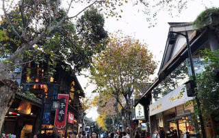 自由行的乐趣,细细体会休闲之都的魅力