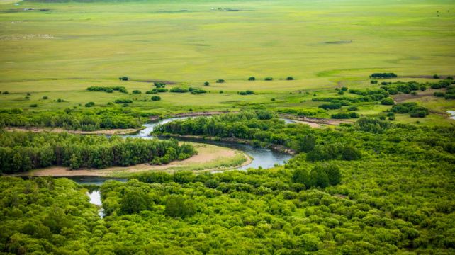 额尔古纳湿地
