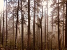 哥伦比亚河峡谷国家风景区-斯卡梅尼亚县-DEAR张小球