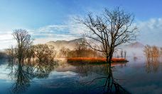 大九湖国家湿地公园-神农架-C-IMAGE