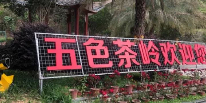 五色茶嶺景區