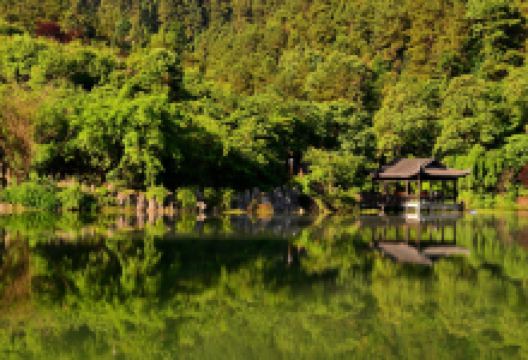 青云湖森林公园景点图片