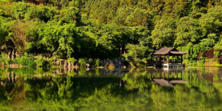 青雲湖森林公園