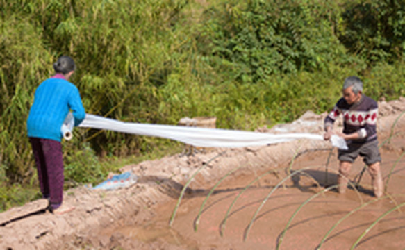 潼南区游记图片] 探访乡村留守老人：年近九十的刘昌贵夫妇，每天养猪种地忙个不停