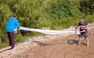 五桂镇游记图文-探访乡村留守老人：年近九十的刘昌贵夫妇，每天养猪种地忙个不停