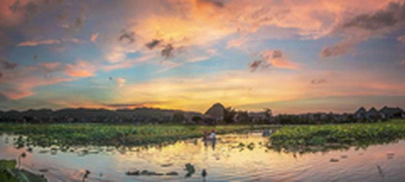 来宾游记图片] “淡水心脏”--螺山生态园