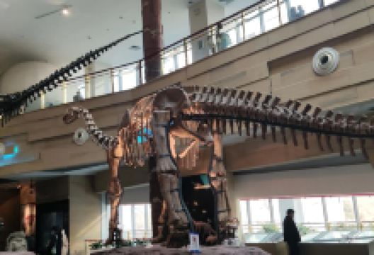 合肥市科技馆(黄山路馆区)景点图片