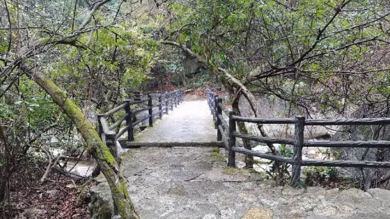 括蒼古道