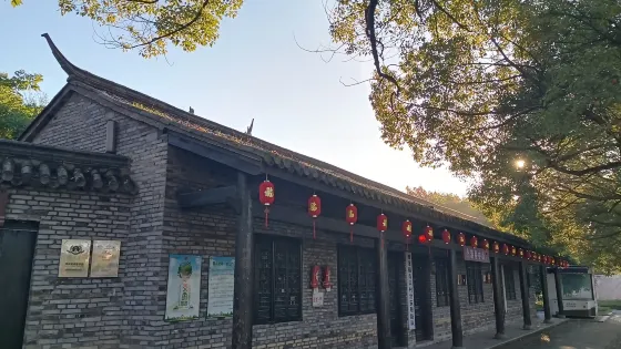 西溪影視基地