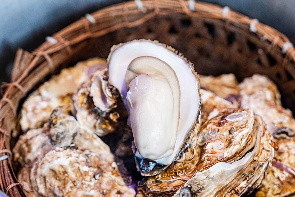 蚝堡·亚洲吃蚝公司(大众路海裕城店)