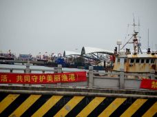 吕四国家中心渔港-启东-M51****0429