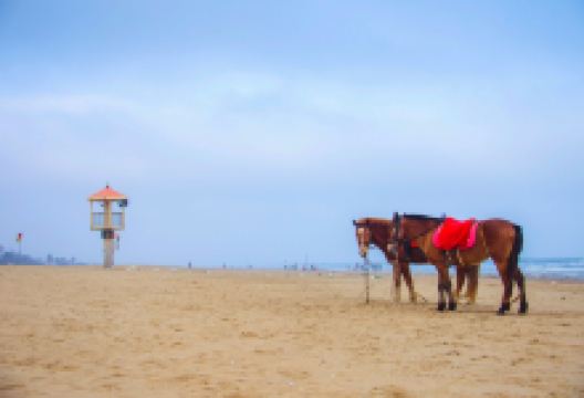 龙海天沙滩景点图片