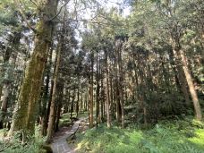 阿里山国家森林游乐区-嘉义县-YoYo_3W1K3S9N