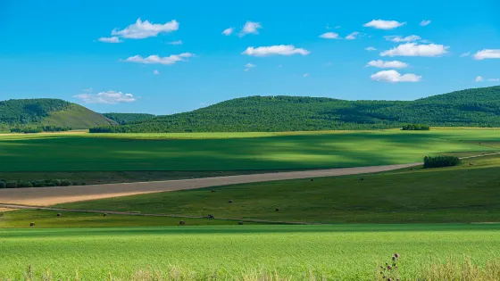 錫林郭勒大草原