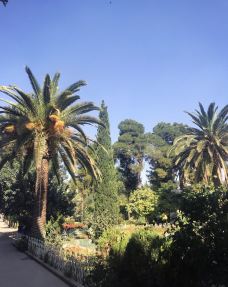 天堂花园-设拉子-小小呆60