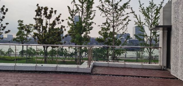 大桥公园旅行图片 3